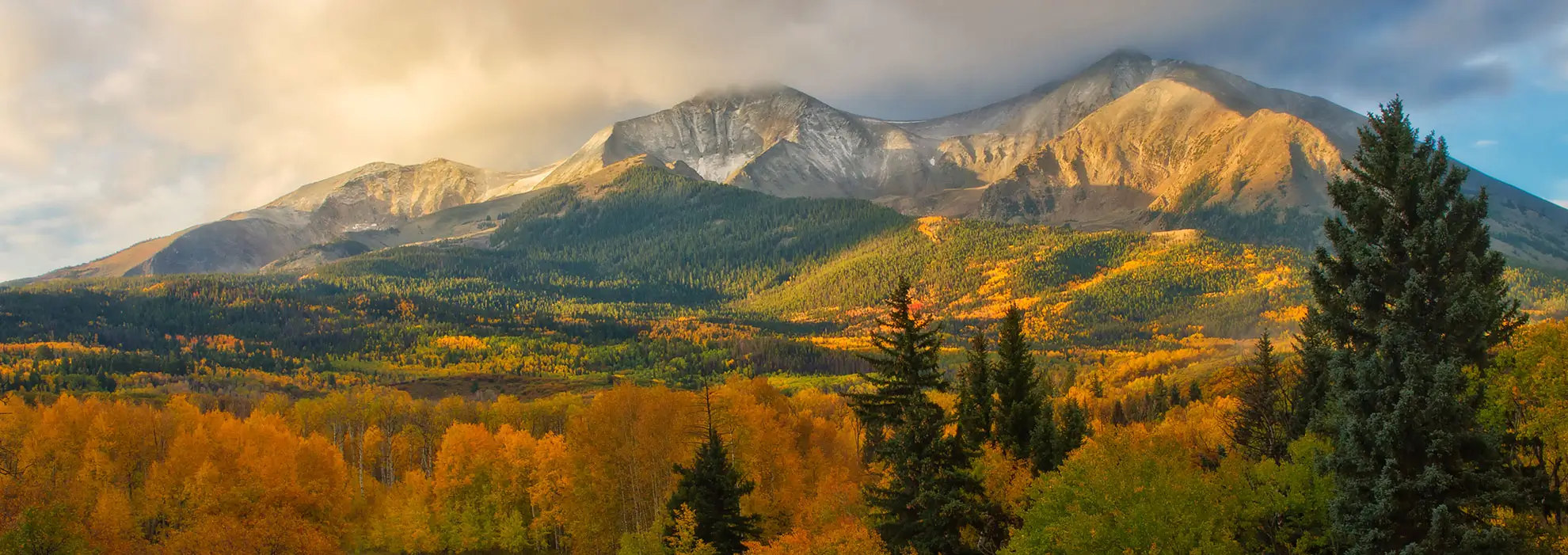 fallsopris